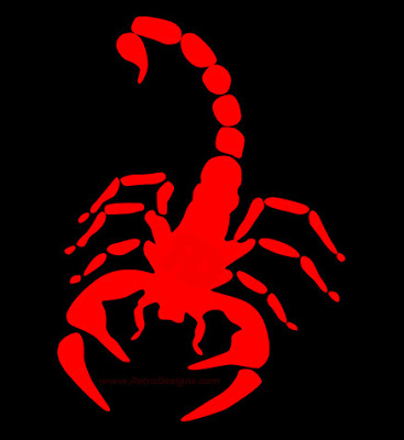 Image result for sinaloa new zealand scorpion